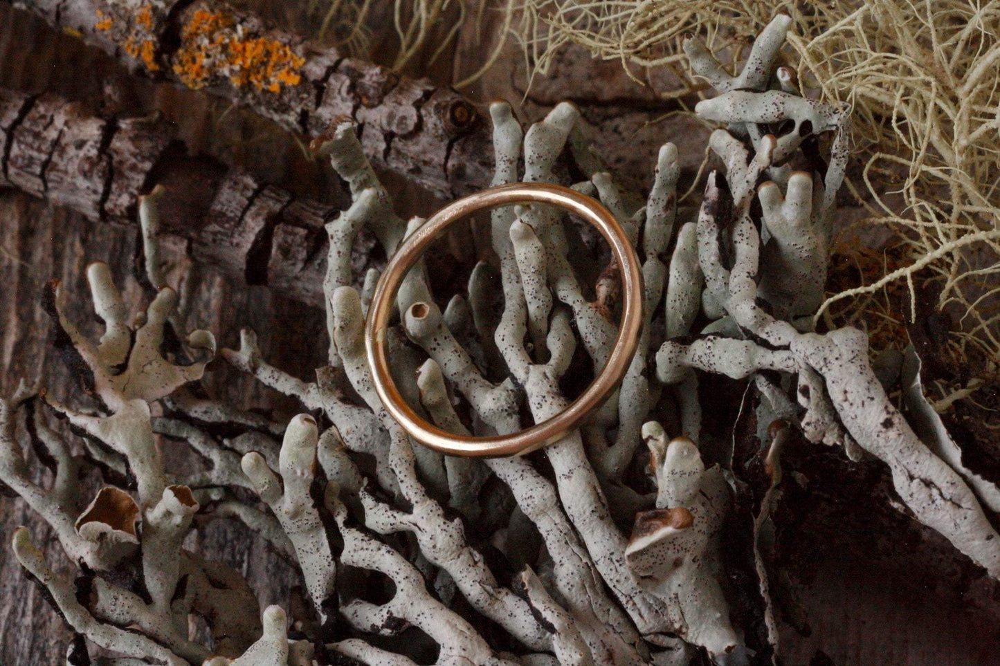 14K Gold Band