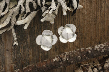 Load image into Gallery viewer, Sterling Silver Stud Flowers
